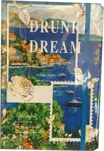 Drunk dream notebook